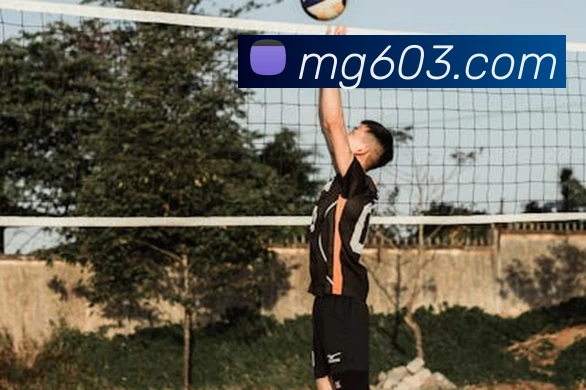 MG娱乐平台官网APP 高清赛事图